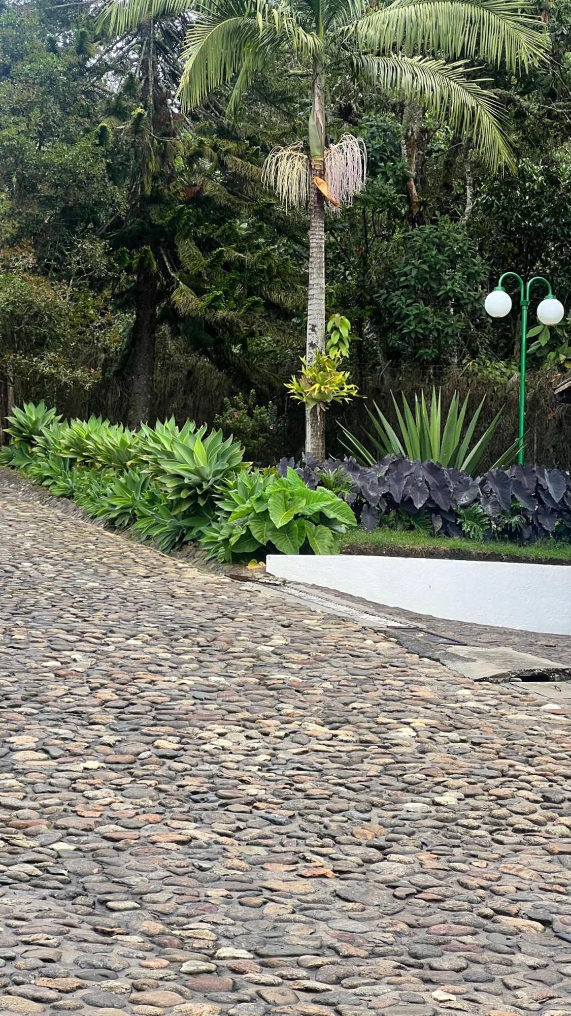 Autenthico Sajonia Aeropuerto * Rionegro